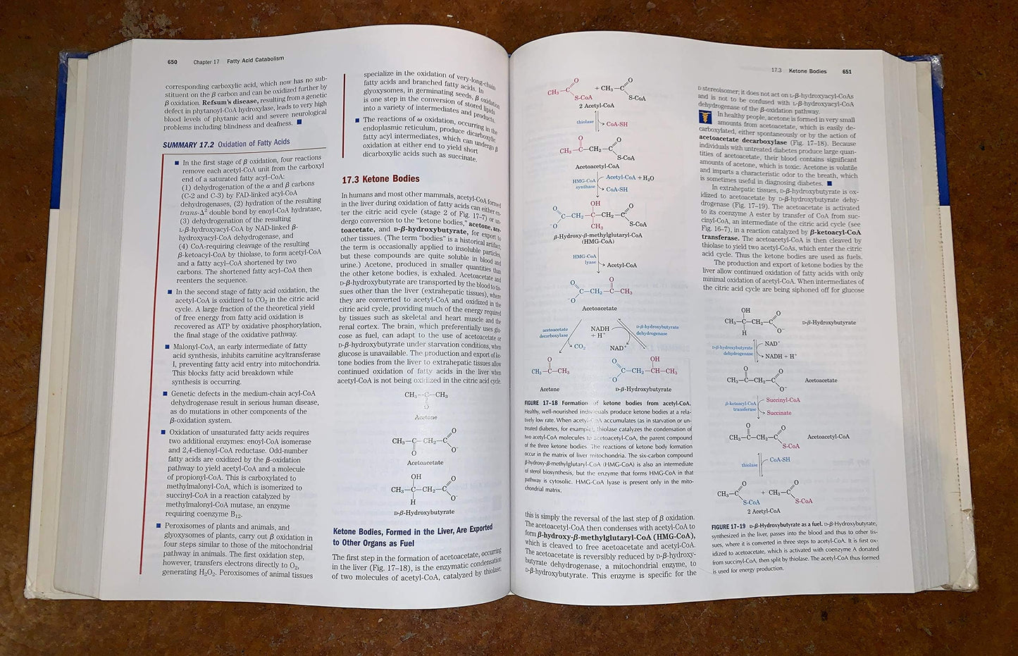 Lehninger Principles Of Biochemistry