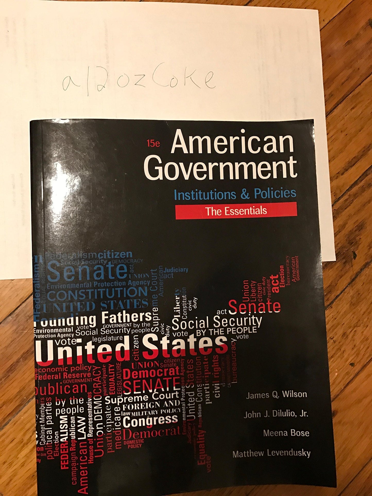 American Government Institutions And Policies