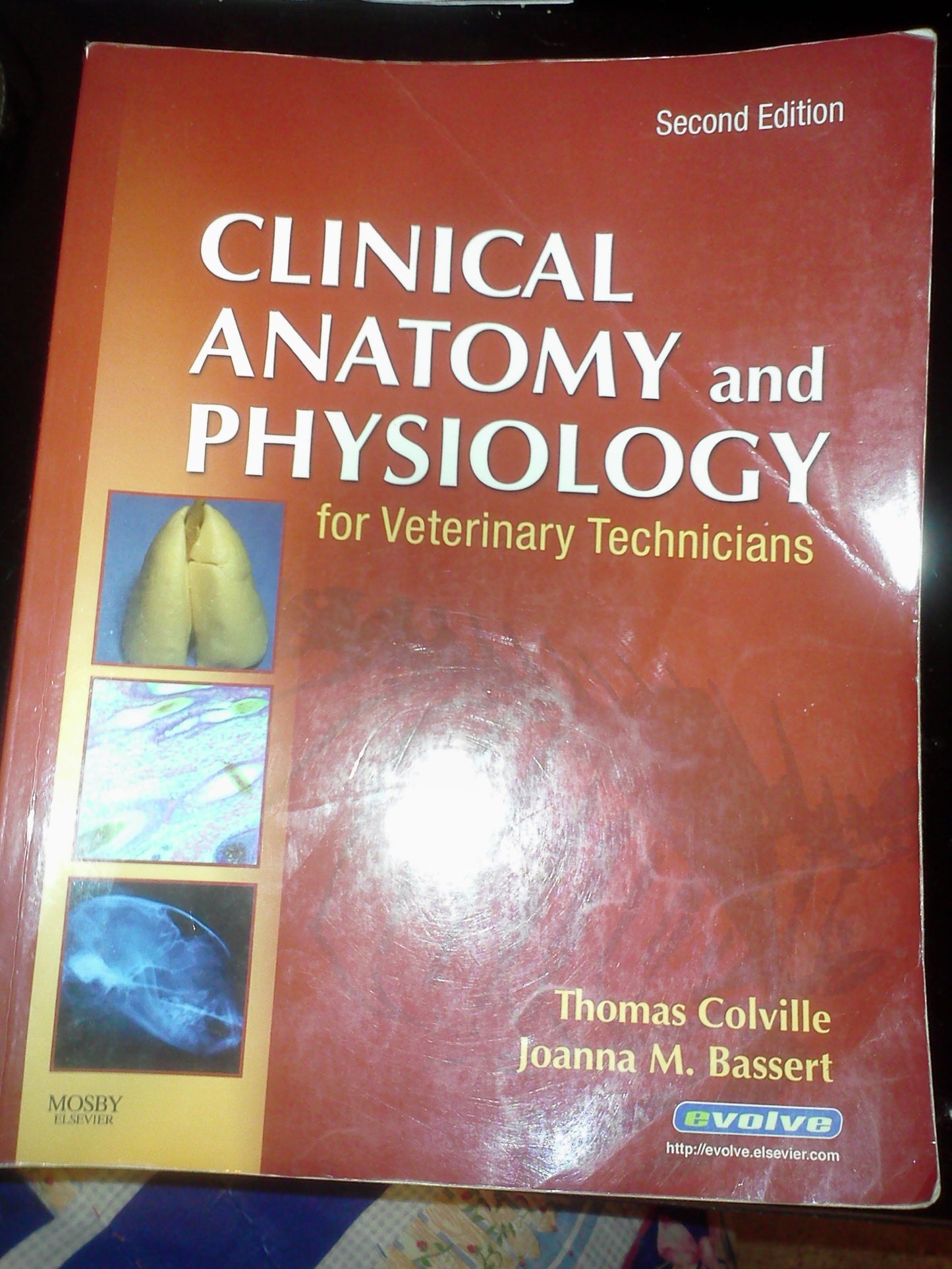 Clinical Anatomy And Physiology For Veterinary Technicians