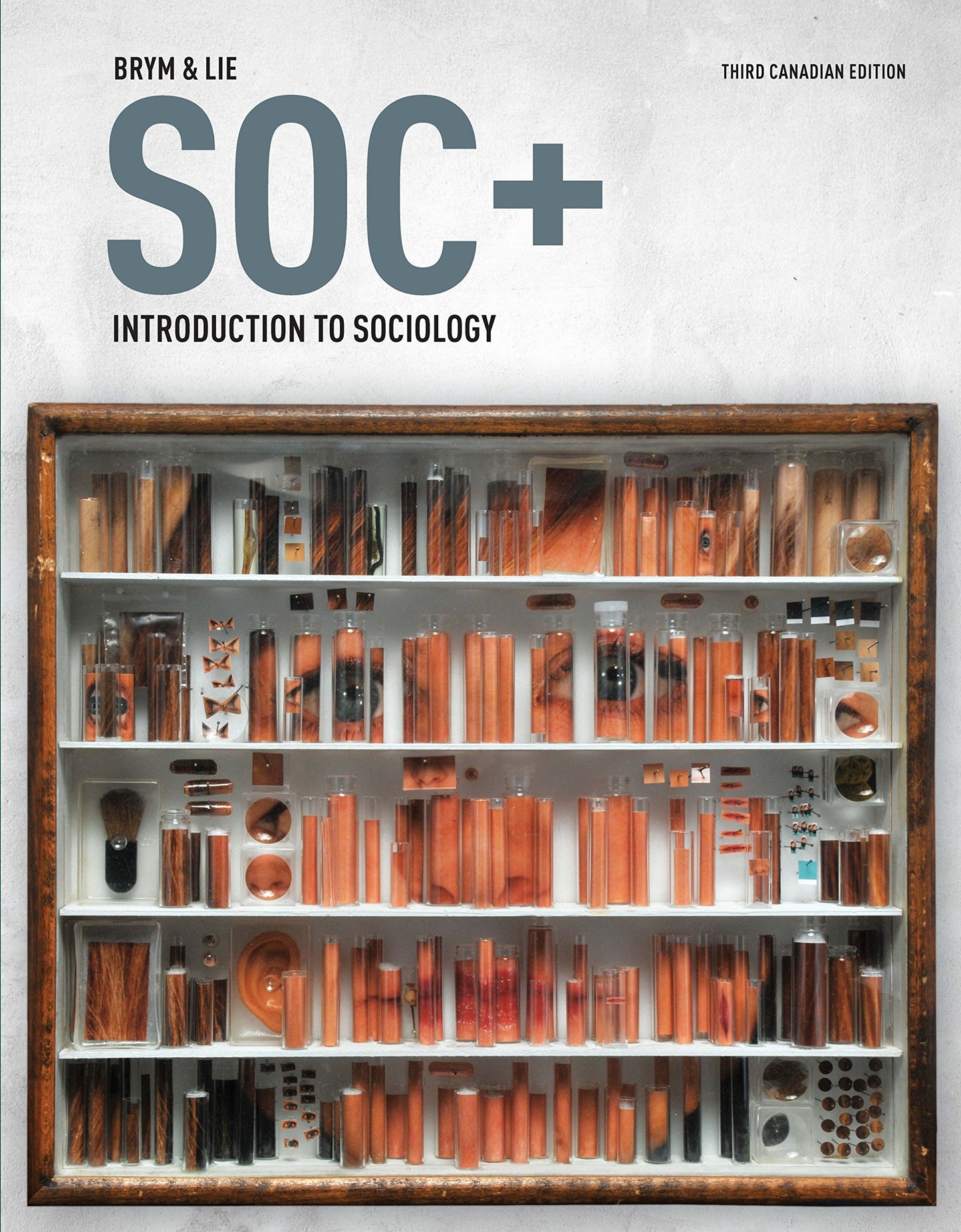 SOC+ Introduction To Sociology [Paperback]