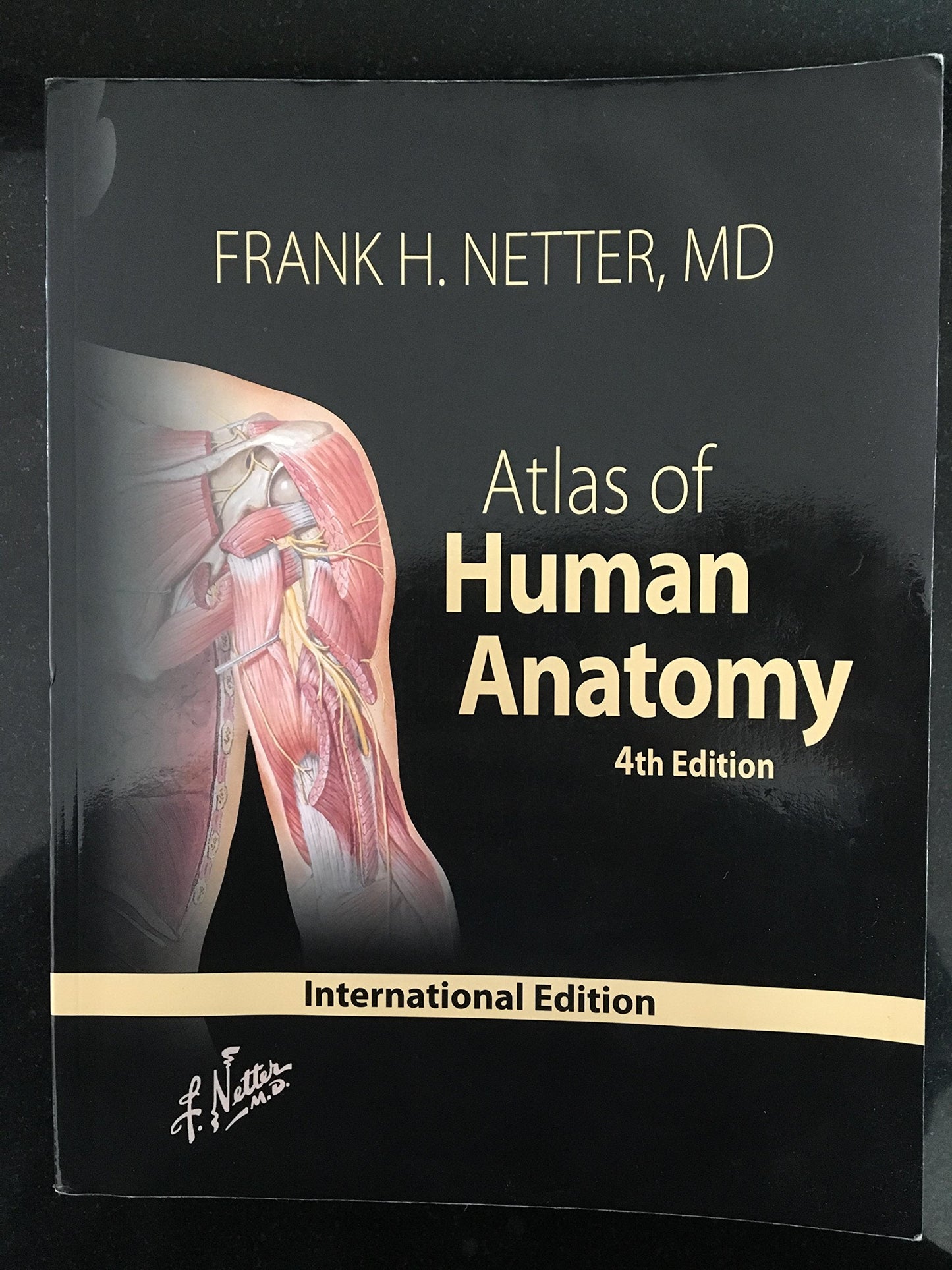 Atlas Of Human Anatomy With Netteranatomy