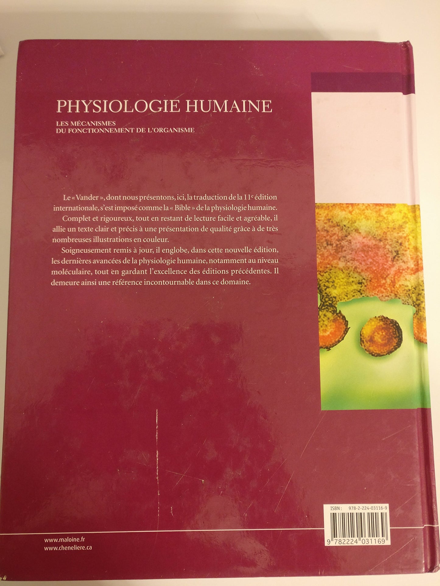 Physiologie Humaine  Les Mécanismes Du Fonctionnement De L'organisme