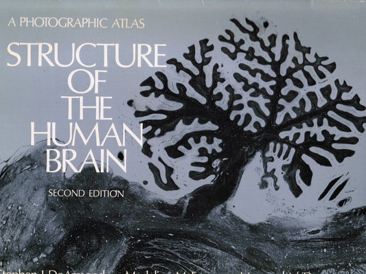 Structure Of The Human Brain A Photographic Atlas