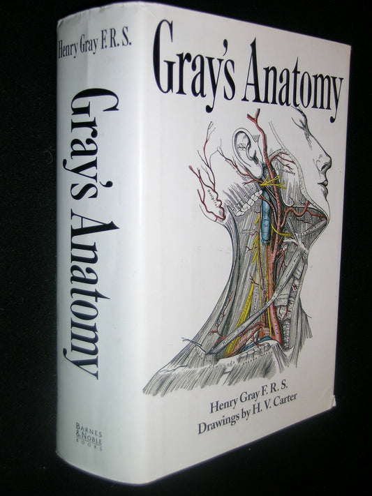 Gray's Anatomy