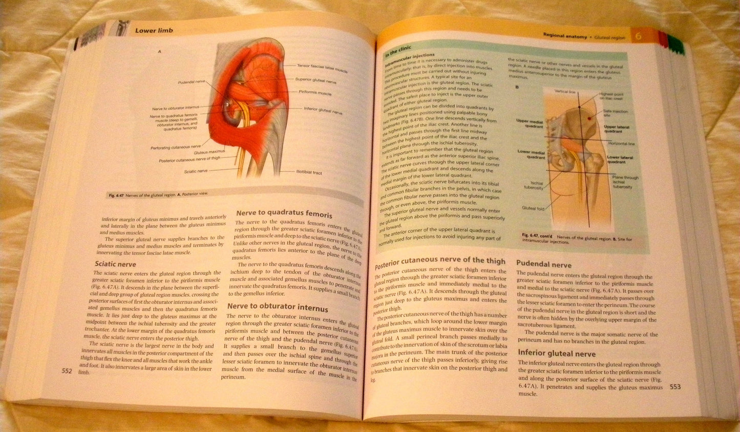 Gray's Anatomy For Students With Student Consult Online Access With Student Consult Online Access