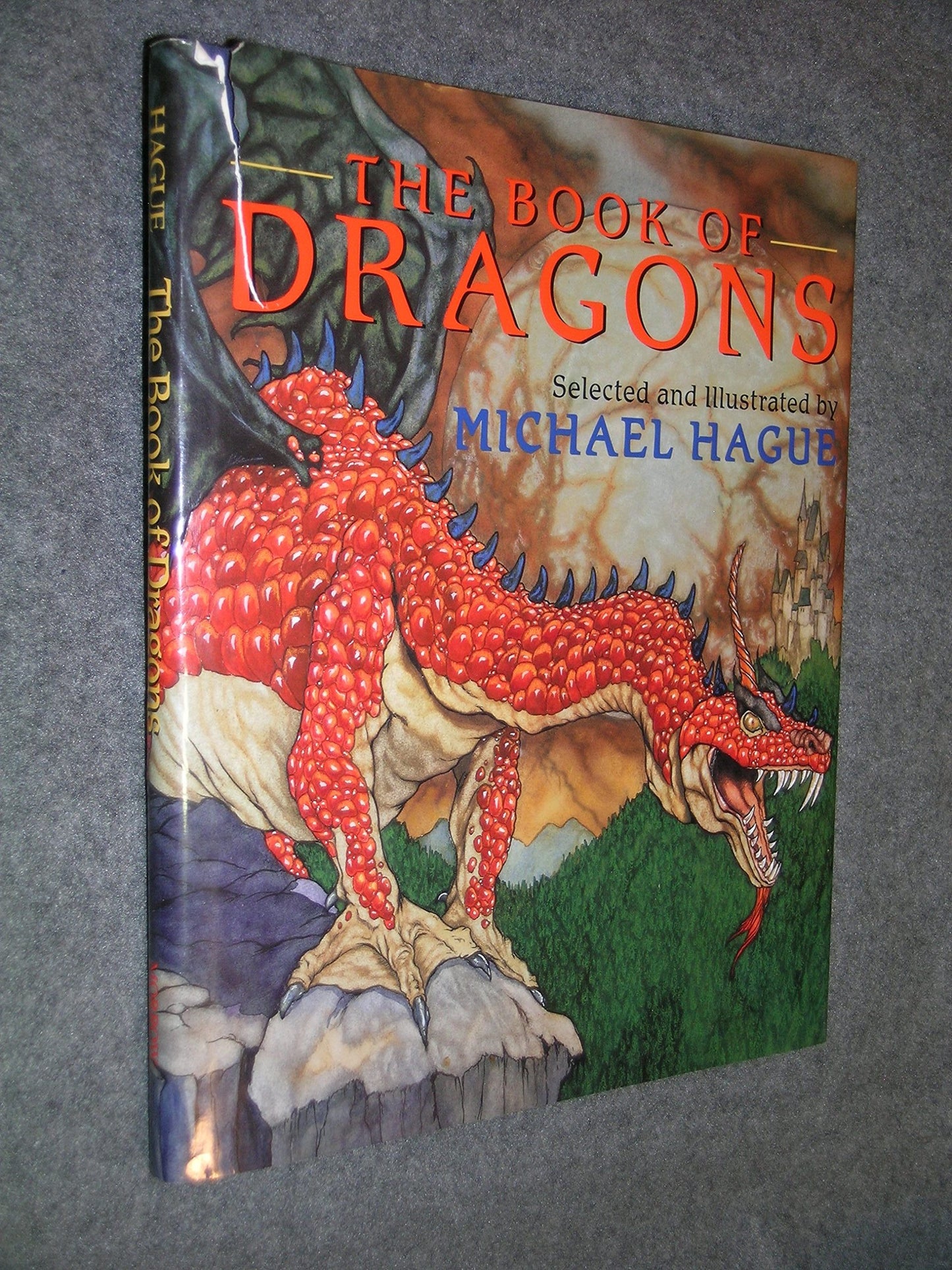 The Book Of Dragons