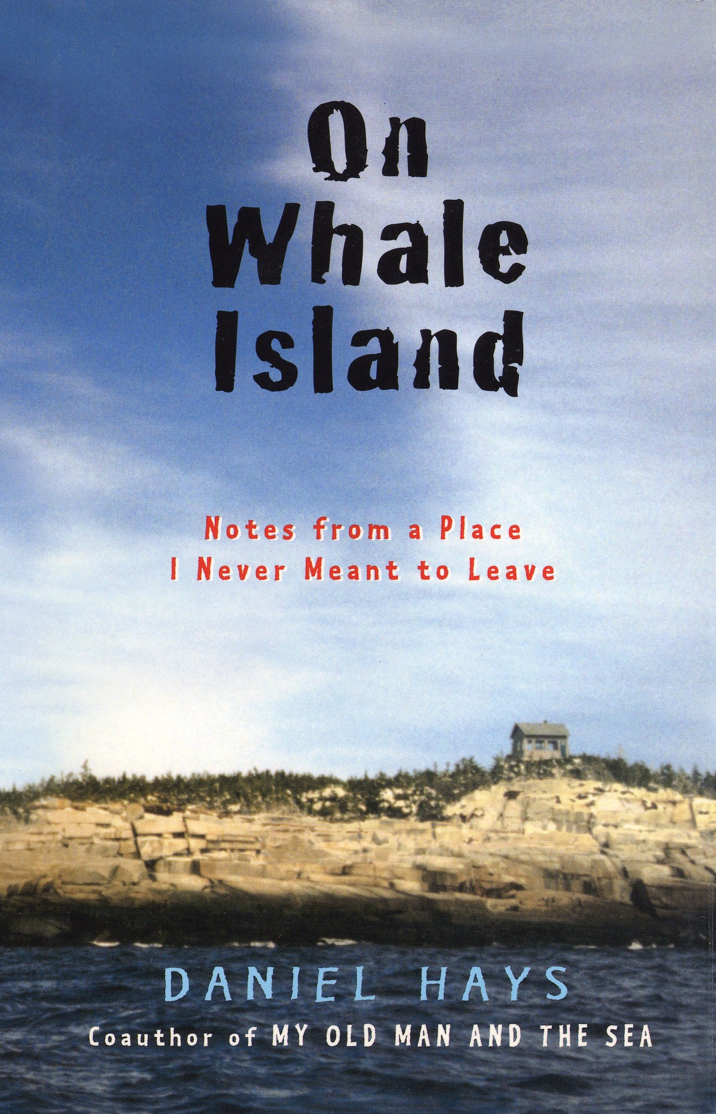 On Whale Island Notes From A Place I Never Meant To Leave