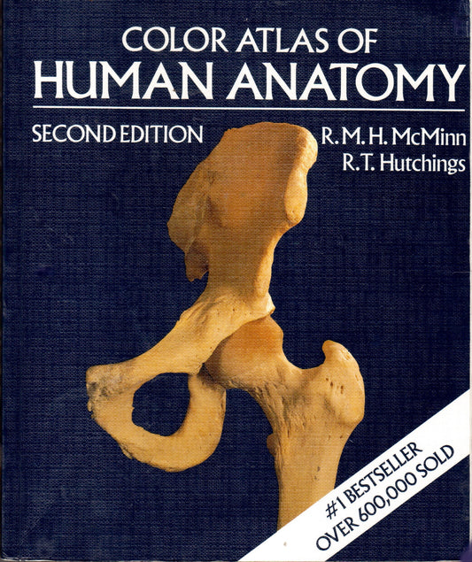 A Color Atlas Of Human Anatomy