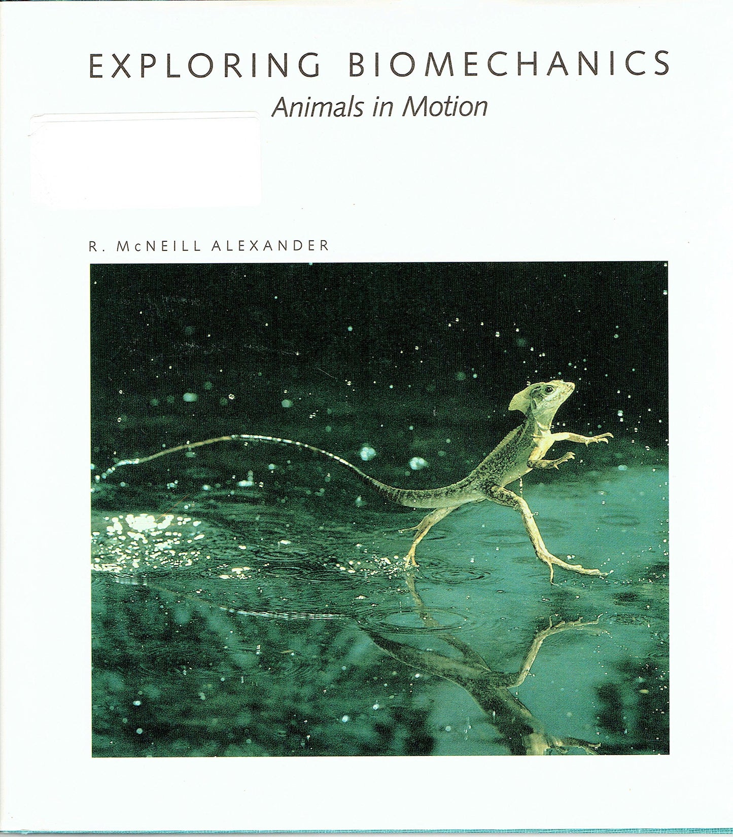 Exploring Biomechanics Animals In Motion