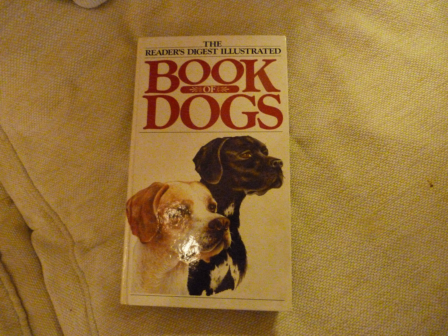 The Reader's Digest Illustrated Book Of Dogs